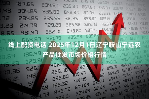 线上配资电话 2025年12月1日辽宁鞍山宁远农产品批发市场价格行情