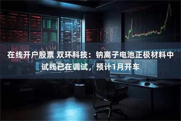在线开户股票 双环科技：钠离子电池正极材料中试线已在调试，预计1月开车